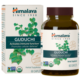 Organic Guduchi